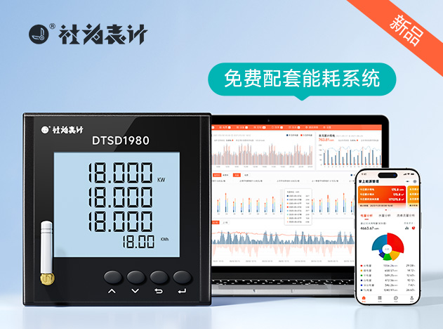 DTSD1980����4G�๦�ܵ����Ǳ�